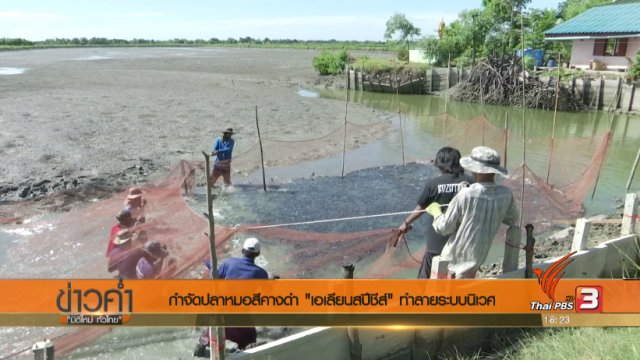 ประเด็นข่าว (6 ก.ค. 60)