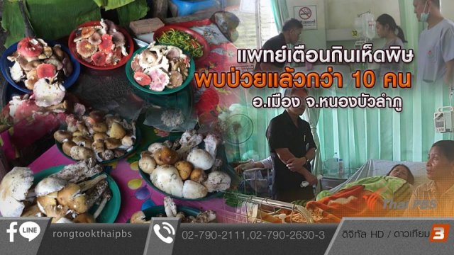 แพทย์เตือนกินเห็ดพิษ พบป่วยแล้วกว่า 10 คน อ.เมือง จ.หนองบัวลำภู