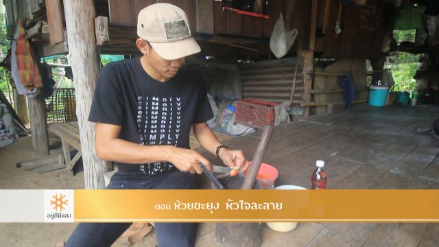 ห้วยขะยุง หัวใจละลาย