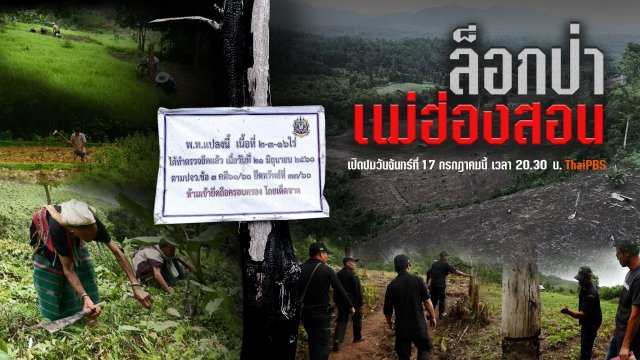 ล็อกป่าแม่ฮ่องสอน