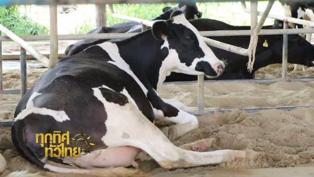 ประเด็นข่าว (14 ก.ค. 60)