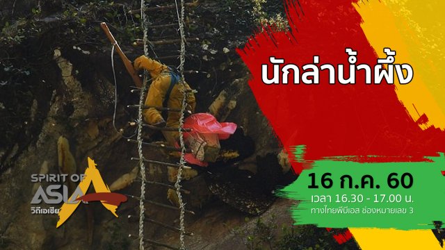 นักล่าน้ำผึ้ง