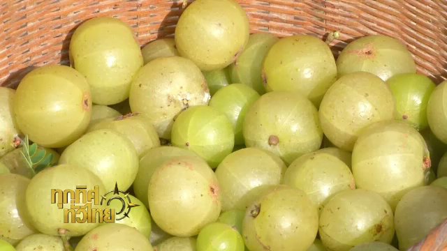 ประเด็นข่าว (18 ต.ค. 60)