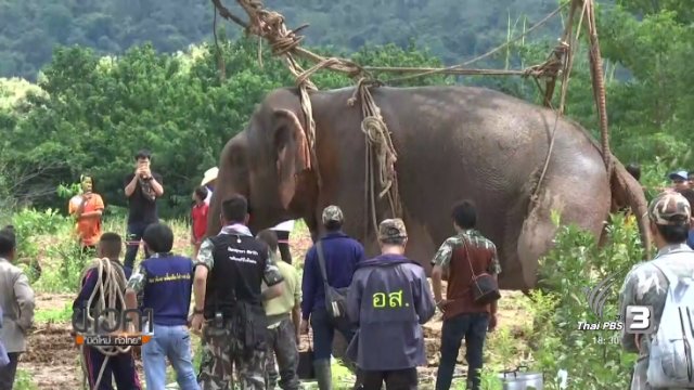 ประเด็นข่าว (19 ต.ค. 60)