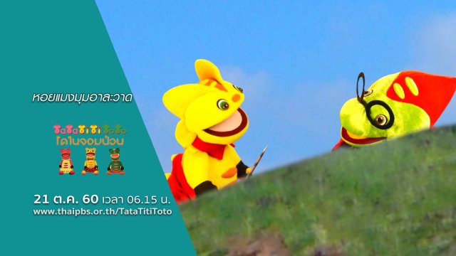 หอยแมงมุมอาละวาด