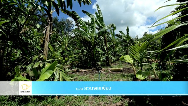 สวนพอเพียง