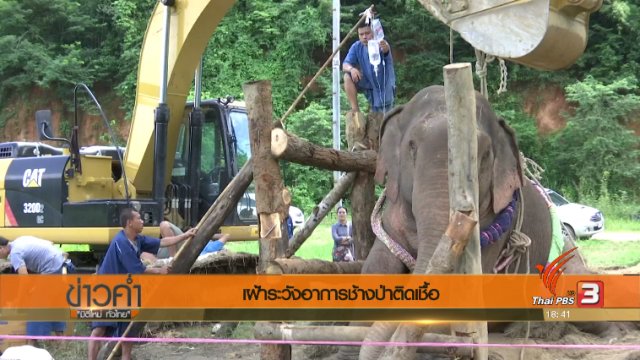 ประเด็นข่าว (20 ต.ค. 60)