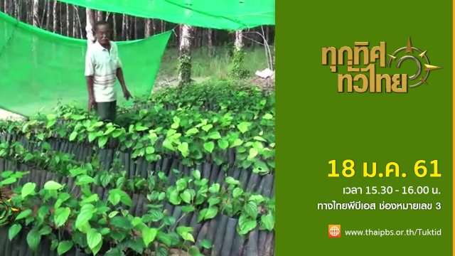 ประเด็นข่าว (18 ม.ค. 61)