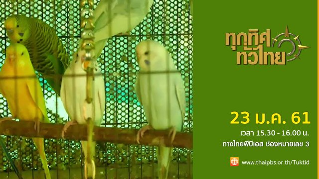 ประเด็นข่าว (23 ม.ค. 61)