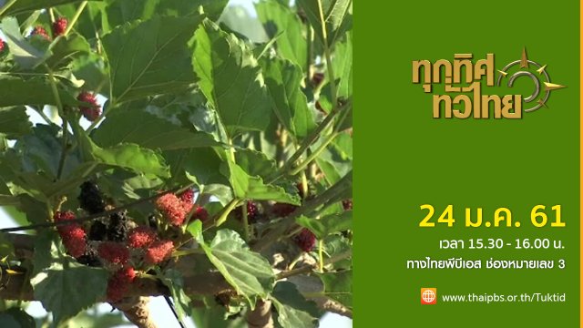 ประเด็นข่าว (24 ม.ค. 61)