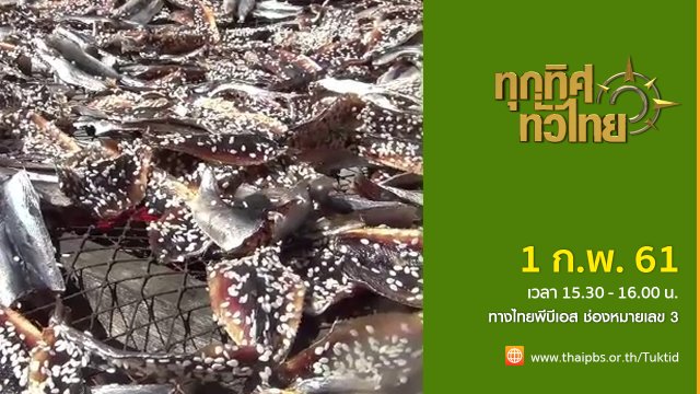 ประเด็นข่าว ( 1 ก.พ. 61)