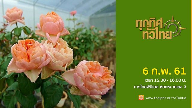 ประเด็นข่าว ( 6 ก.พ. 61)
