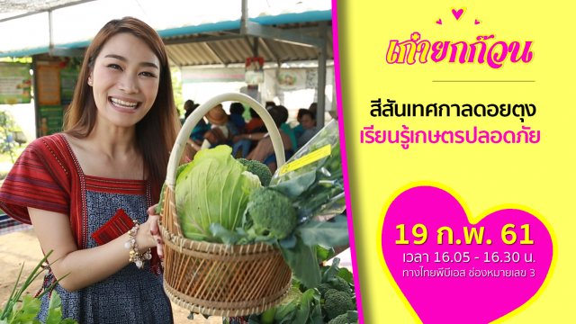 สีสันเทศกาลดอยตุง