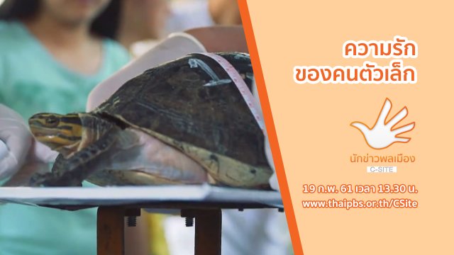 ความรักของคนตัวเล็ก