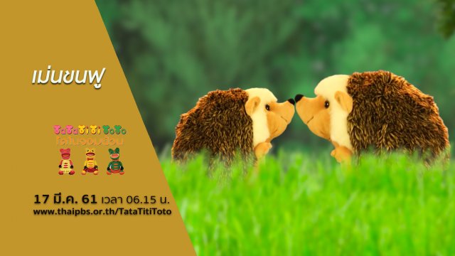 เม่นขนฟู