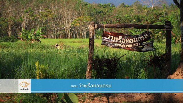 ว่าพรือทอนตรน