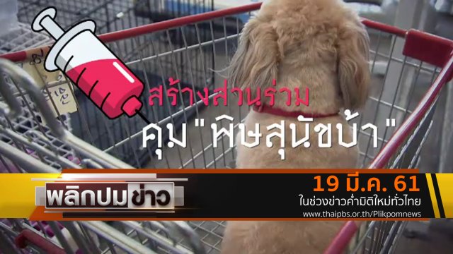 สร้างส่วนร่วมคุม "พิษสุนัขบ้า"