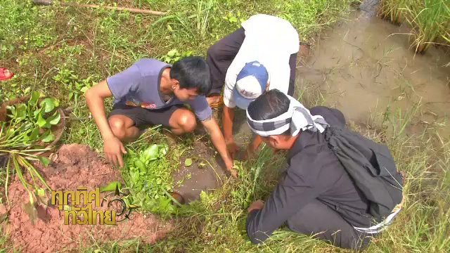 ประเด็นข่าว (2 พ.ย. 60)