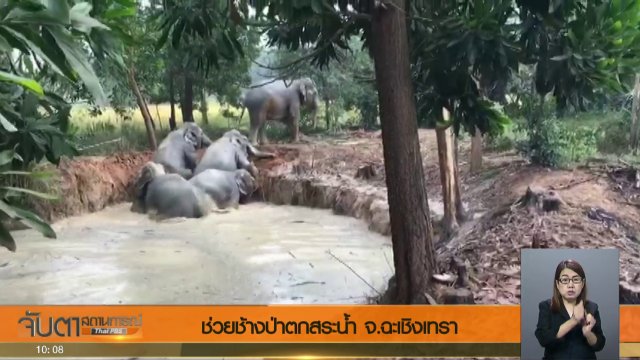 ประเด็นข่าว (13 พ.ย. 60)