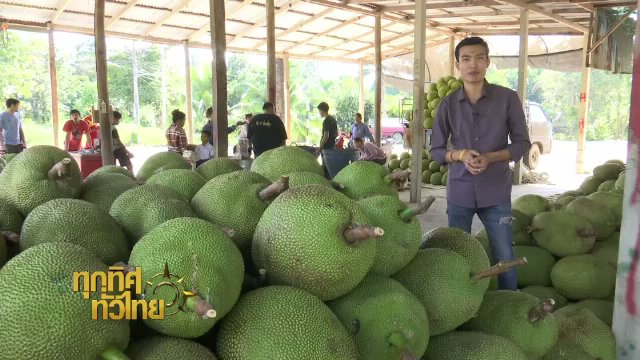 ประเด็นข่าว (17 พ.ย. 60)