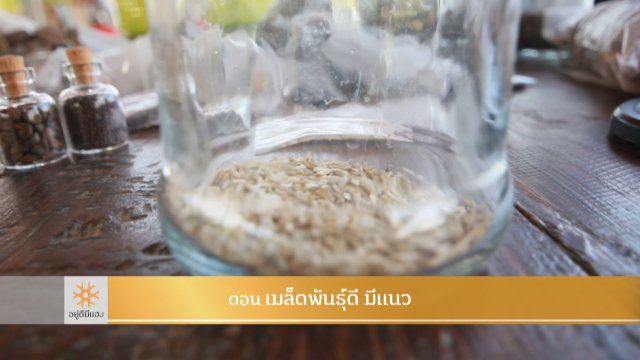 เมล็ดพันธุ์ดี มีแนว