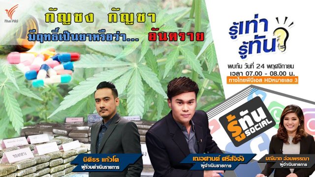 กัญชง กัญชา ฤทธิ์เป็นยาหรือว่า..อันตราย