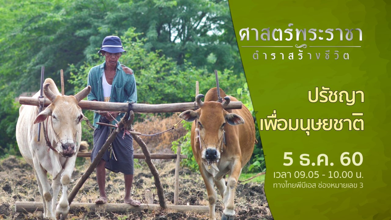 ศาสตร์พระราชา ตำราสร้างชีวิต - ปรัชญา เพื่อมนุษยชาติ