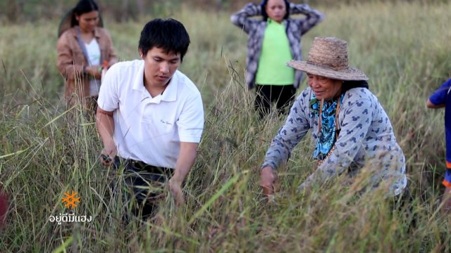 โรงเรียนใต้ต้นตะขบ