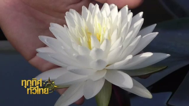 ประเด็นข่าว (6 ธ.ค. 60)