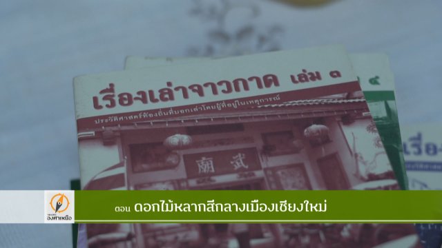 ดอกไม้หลากสีกลางเมืองเชียงใหม่