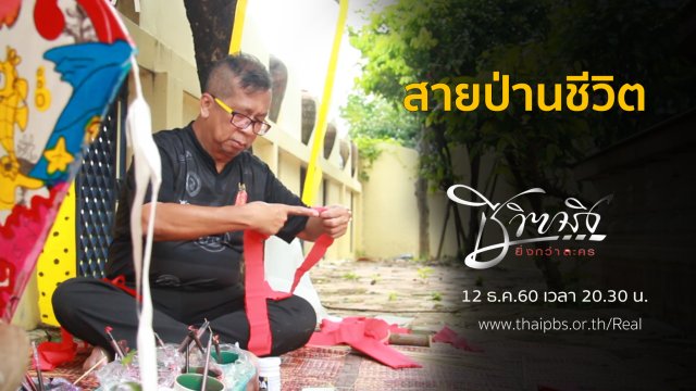 สายป่านชีวิต