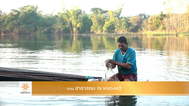 สาธารณะ ณ หนองแต้​