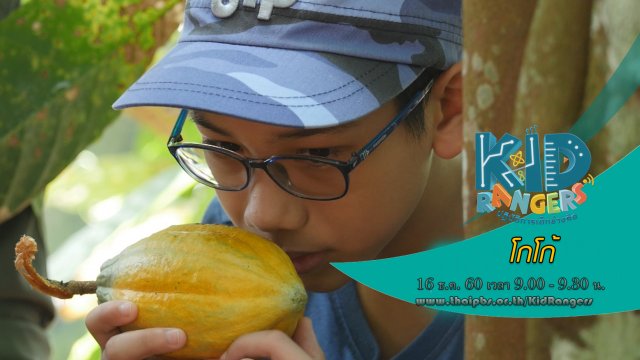 โกโก้