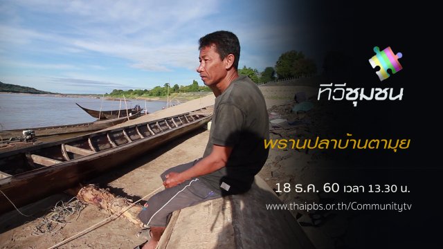 พรานปลาบ้านตามุย