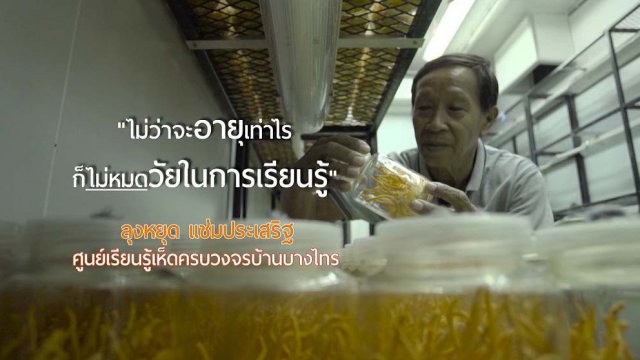 ลุงหยุดเห็ดเงินล้าน / ภูมิปัญญามะพร้าวไทยโกอินเตอร์