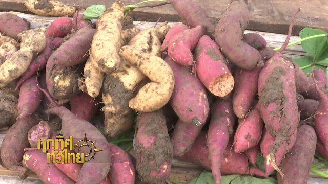 ประเด็นข่าว (28 ธ.ค. 60)