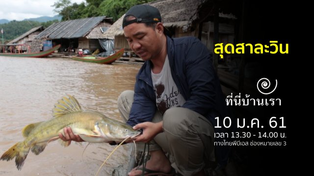 สุดสาละวิน