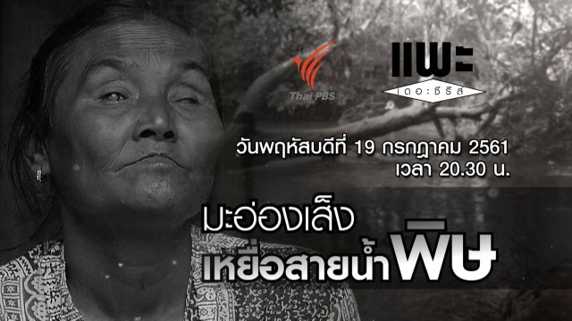 มะอ่องเส็ง เหยื่อสายน้ำพิษ