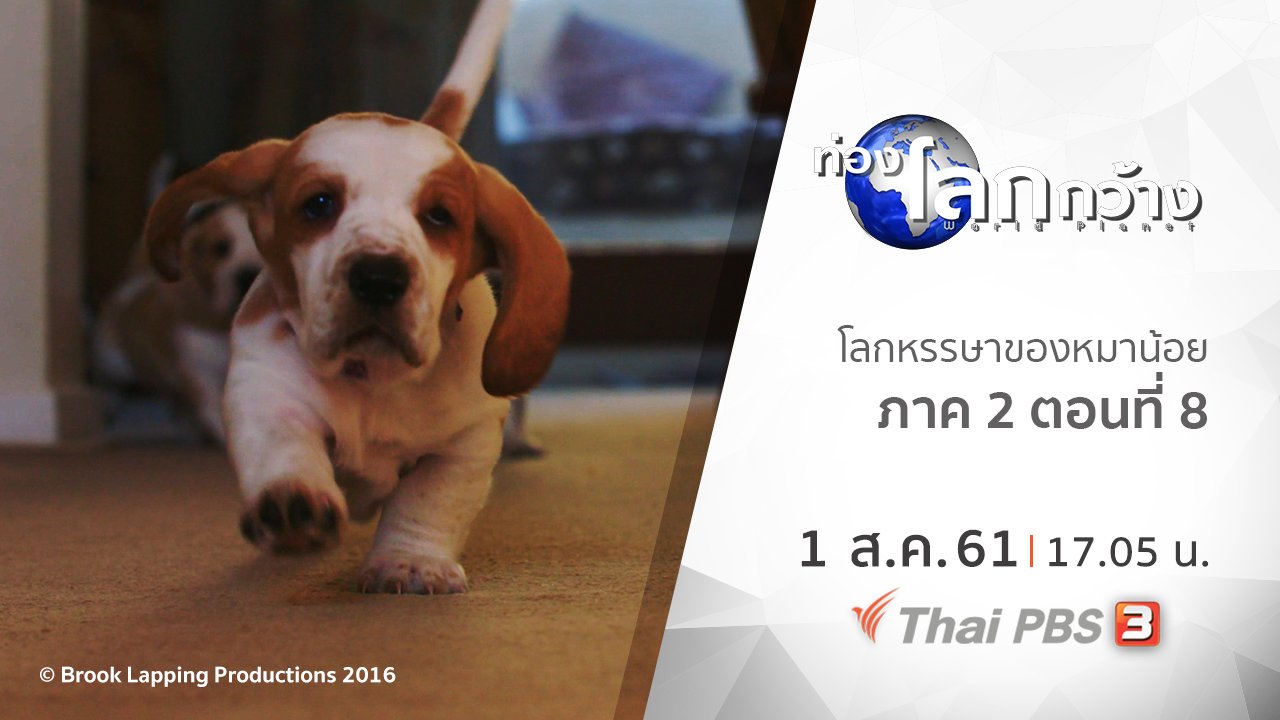 ท่องโลกกว้าง - โลกหรรษาของหมาน้อย ภาค 2 ตอนที่ 8