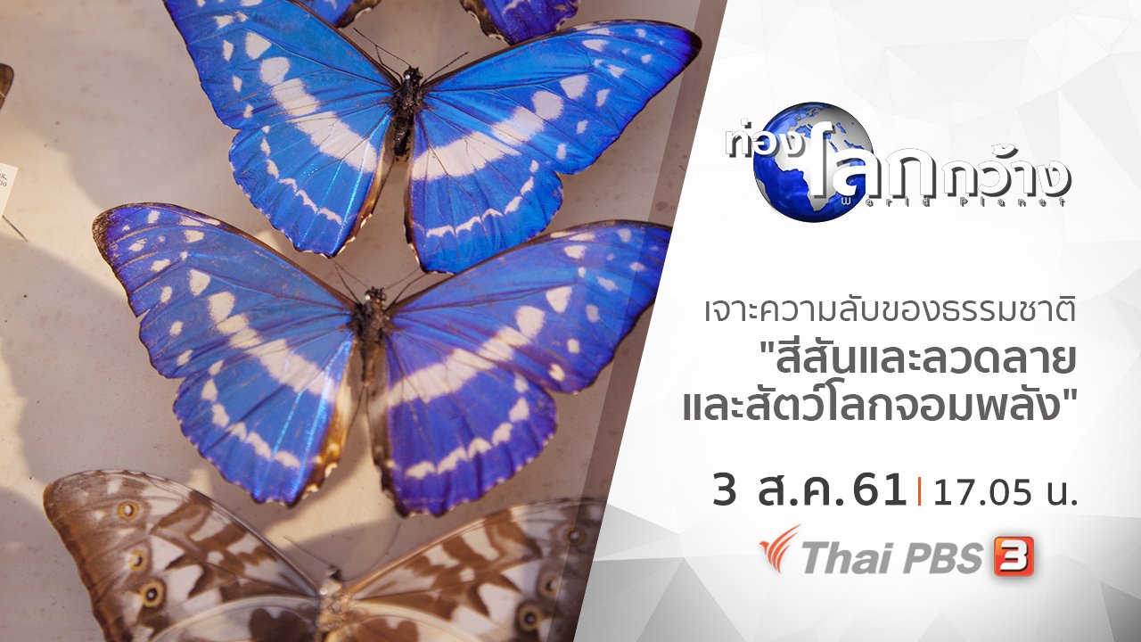 ท่องโลกกว้าง - เจาะความลับของธรรมชาติ ตอน สีสันและลวดลาย และสัตว์โลกจอมพลัง