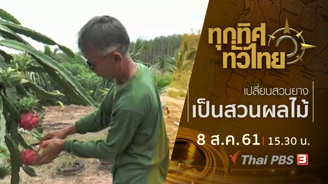 ประเด็นข่าว ( 8 ส.ค. 61)