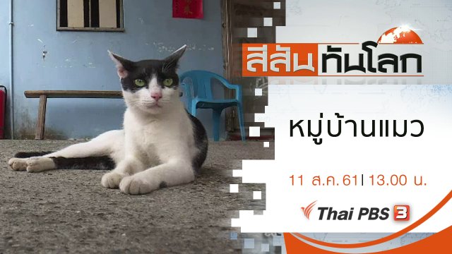 ประเด็นข่าว (11 ส.ค. 61)