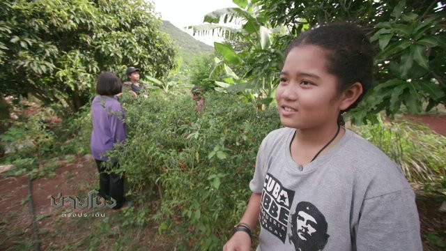 ประเด็นข่าว ( 14 ส.ค. 61)