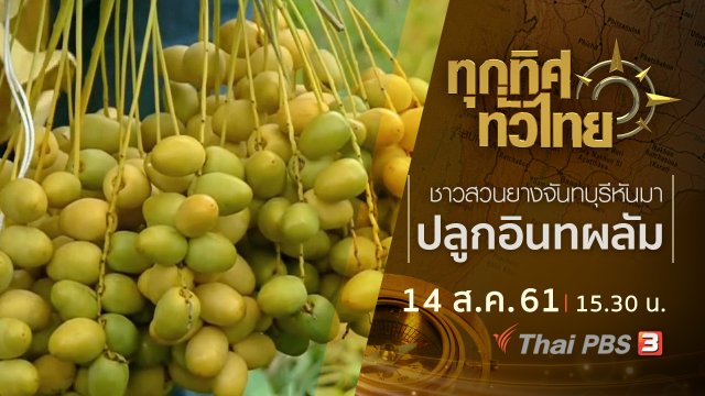 ประเด็นข่าว ( 14 ส.ค. 61)