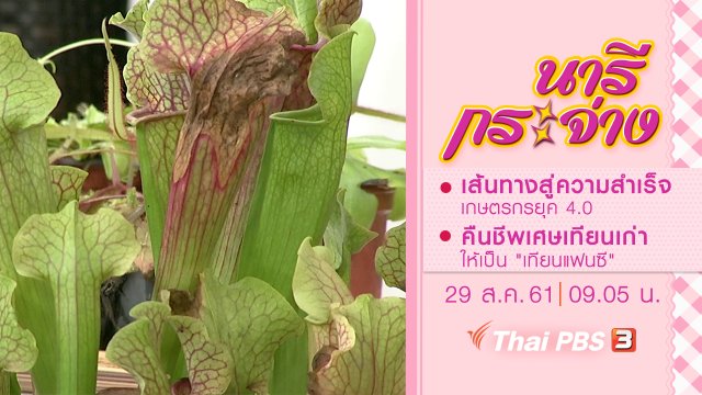 เส้นทางสู่ความสำเร็จ เกษตรกรยุค 4.0, คืนชีพเศษเทียนเก่าให้เป็น "เทียนแฟนซี"