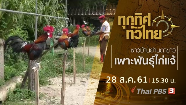 ประเด็นข่าว ( 28 ส.ค. 61)