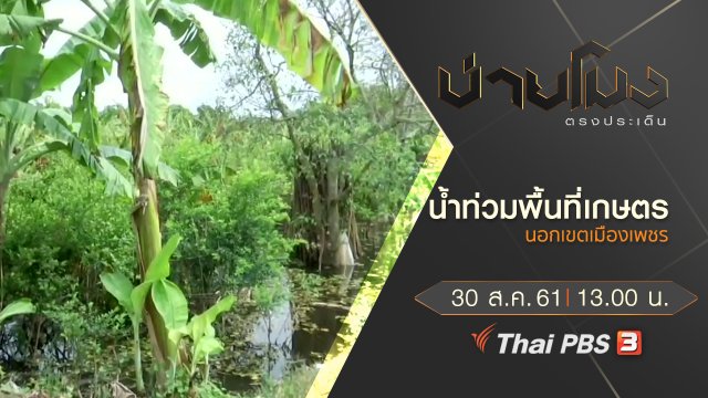 ประเด็นข่าว ( 30 ส.ค. 61)