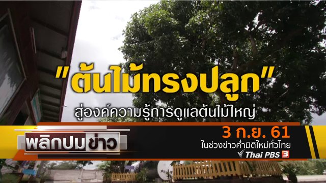 ต้นไม้ทรงปลูก สู่องค์ความรู้การดูแลต้นไม้ใหญ่