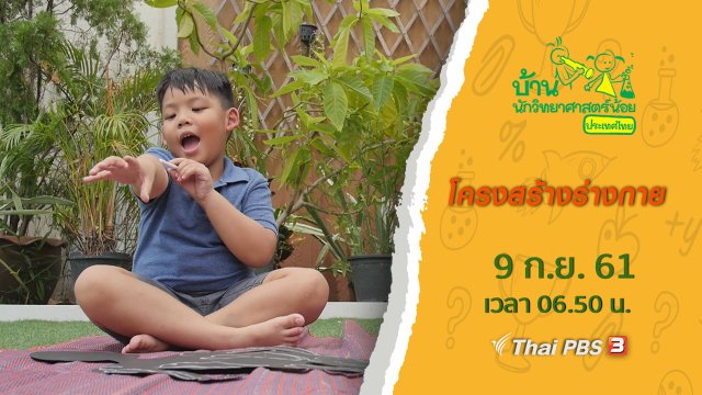 โครงสร้างร่างกาย