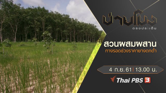 ประเด็นข่าว ( 4 ก.ย. 61)